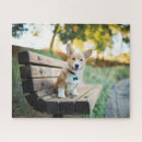 Search for corgi puzzles Canine