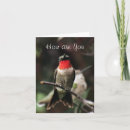 Search for birdwatcher cards invites Hummingbird