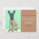 Search for malinois cards Puppy
