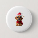Search for funny buttons Animal