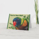 Recherche de parrot birthday Animal