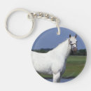 Search for appaloosa keychains Standing