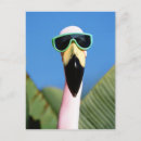 Search for faking postcards Humour