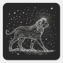 Search for map star stickers Constellations