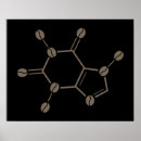 Search for molecule posters Coffee lover