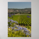 Search for wineries posters Wine country