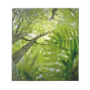 Recherche de fougères blocsnotes Forêt