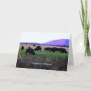 Search for digital bison cards Animal