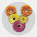 Search for alphabet v stickers Modern