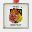 Search for dahlia flower ornaments Flora