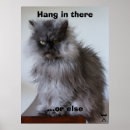 Search for hang in there cat posters Kitty