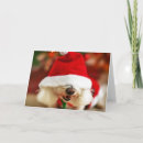 Search for bichon christmas cards Puppy
