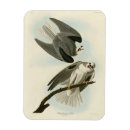 Recherche de cerf volant magnets Illustration