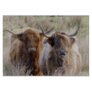 Search for cattle cutting boards Farm
