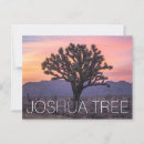 Recherche de joshua Coloré