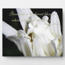 Search for daisies plaques Floral