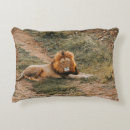 Recherche de lion le coussins Sauvage