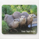 Search for otter photography Animals