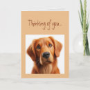 Search for lonely dog cards Animal