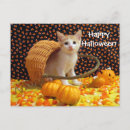 Search for cute candy postcards Kitten