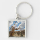 Search for the grove keychains Nobody