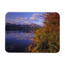 Recherche de miroir magnets Pittoresque