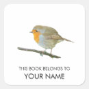 Search for robin bird stickers Redbreast