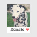 Recherche de portrait de chien autocollants Vacances