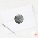 Search for cat photo stickers Modern