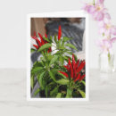Recherche de chili vœux cartes Nourriture