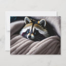 Recherche de cute raccoon cartes postales Animal sauvage