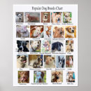Search for dog breed posters Pets