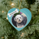 Search for dog bone ornaments Cute