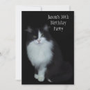 Search for black and white kitten invitations Animals