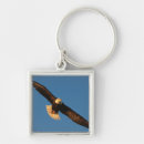 Search for bird of prey keychains Patriotic