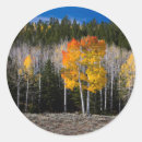Search for aspen leaves stickers Colour