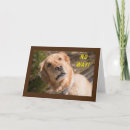 Search for turning 60 cards Dog