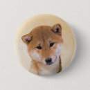 Search for shiba buttons Dog
