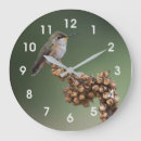 Search for hummingbirds clocks Wings