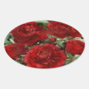 Search for red carnation stickers Floral