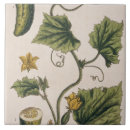 Search for fruits and vegetables tiles Botanical