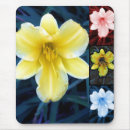 Search for mixed mousepads Flower