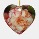 Recherche de oeillet ornements Fleur