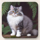 Search for persian coasters Cat