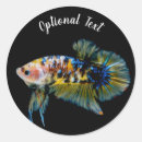 Search for fighting fish stickers Pet