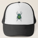 Search for beetle hats Animal