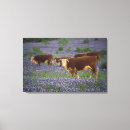 Search for bluebonnets art Farm