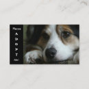 Recherche de refuges cartes visite Chien