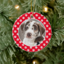 Search for pet name ornaments Simple