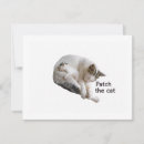 Search for love cat invitations Animals
